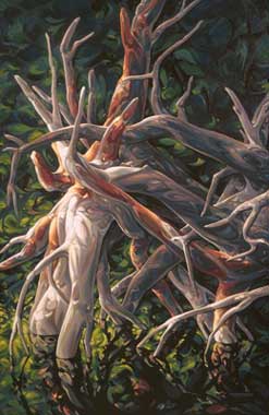 Roots in a Pool