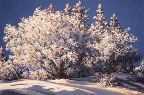 Winter's Osasis